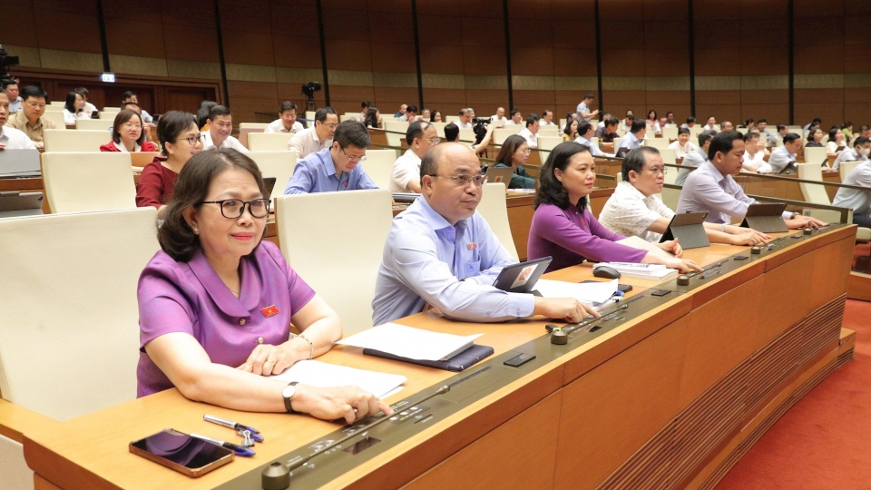 National Assembly passes amended Law on Special Consumption Tax